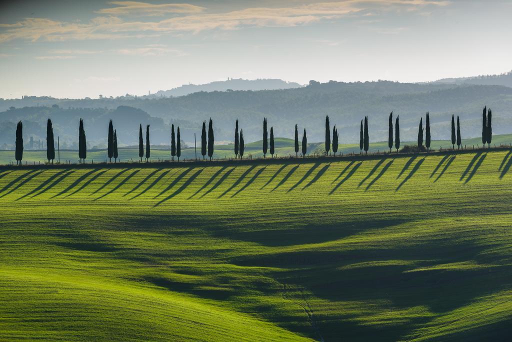 Podere Ampella Villa San Giovanni dʼAsso Exterior foto